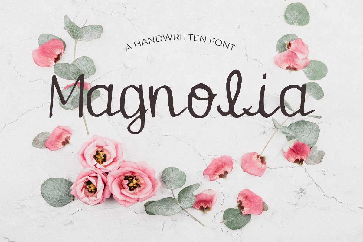 Magnolia Font插图