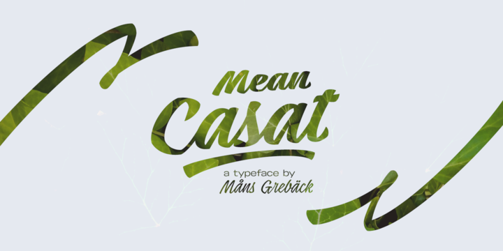 Mean Casat Font Family素材之家精选英文字体