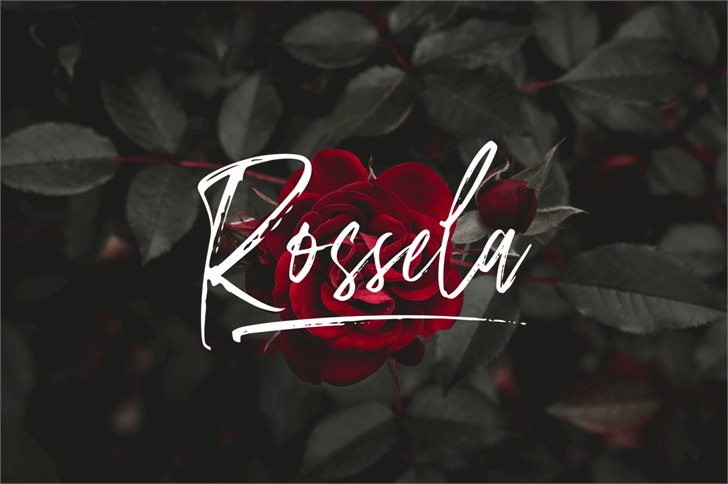 Amourist font插图2