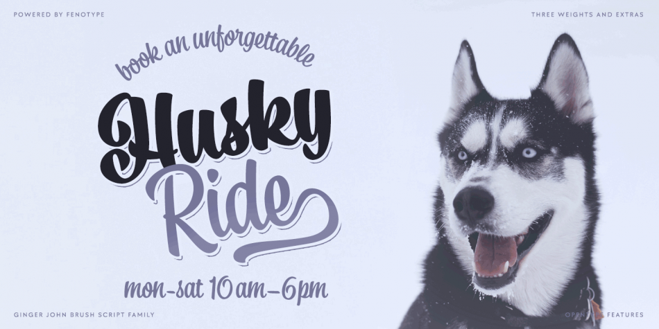 Ginger John Font Family插图4