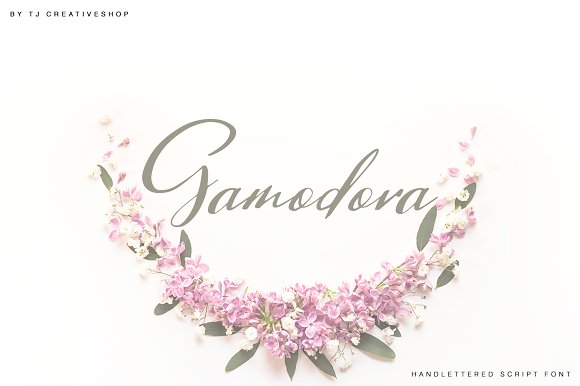 Gamodora Font素材之家精选英文字体