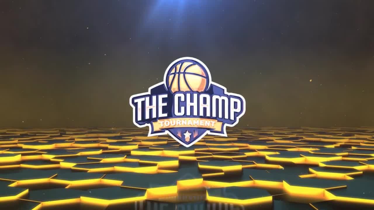 酷炫的效果组合徽标显示素材库精选AE模板