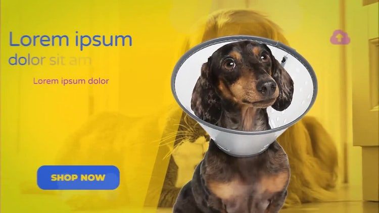 梦幻般的AE插件