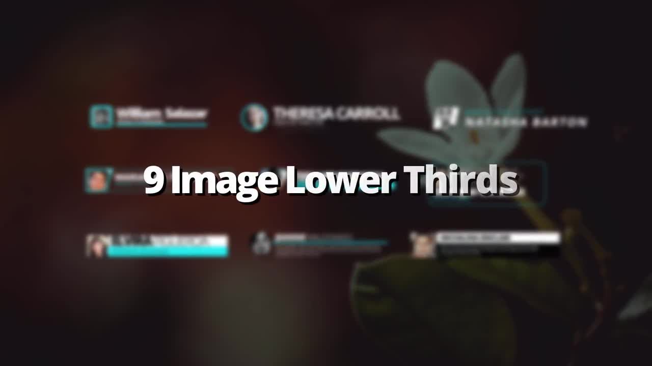 9个独特的动画下三分之二标题素材库精选AE模板