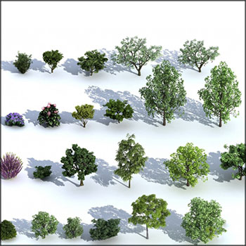 现代梧桐树樱花树素材之家精选3D模型