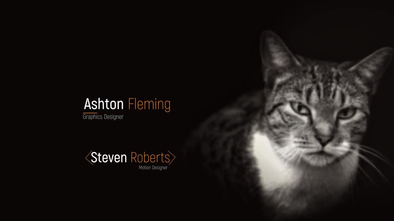 14个优雅下三分之一动画素材库精选AE模板