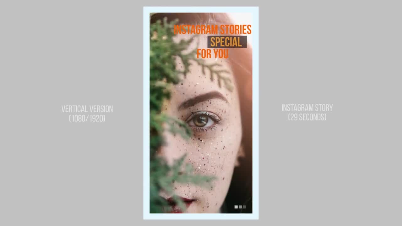 照片或视频预览素材库精选PR模板