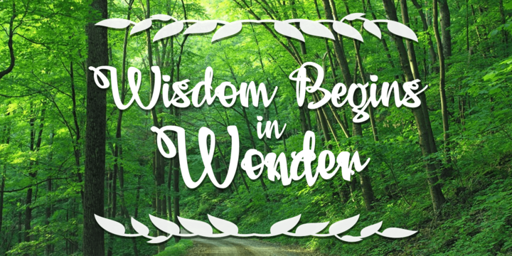 Adielle Font Family插图2