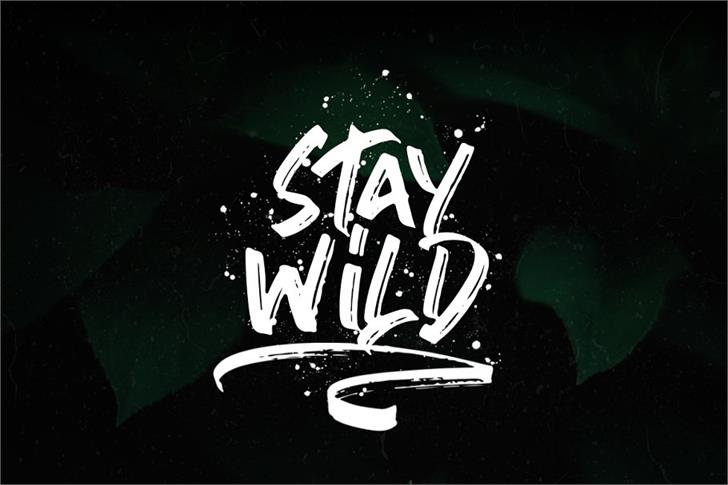 stronger font插图6 stronger font插图6