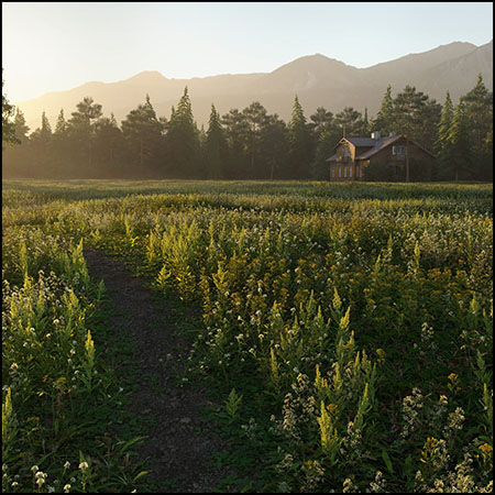 14套低多边形野草小草绿色植物素材之家精选3D模型