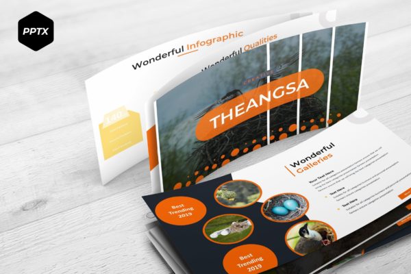鸟类调查报告PPT幻灯片模板 The Angsa – Powerpoint Template