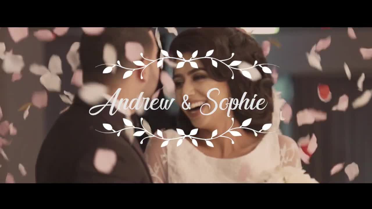 婚礼录像回忆效果Pr模板