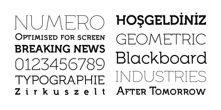 Full Neue Font Family插图2