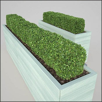 现代树篱素材之家精选3D模型