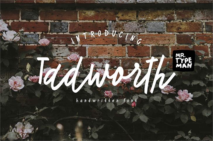 Tadworth font插图 Tadworth font插图