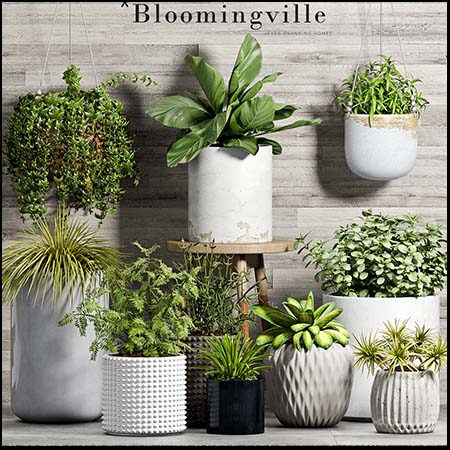 小型花卉和盆栽植物素材之家精选3D模型