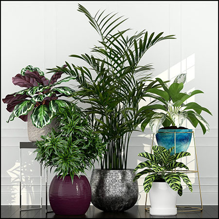 绿色花卉植物盆栽素材之家精选3D模型