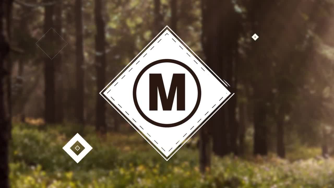 简约自然的形状标志素材库推荐Pr模板