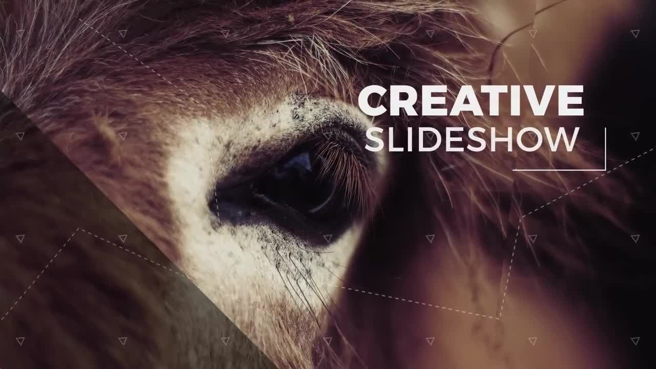 有创意的旅游幻灯片照片展示素材库精选AE模板