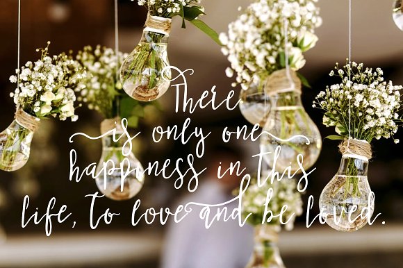 Josefina Bonus Elements Font插图3