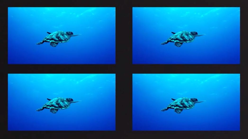 18种不同的动态转换过渡素材库精选PR模板