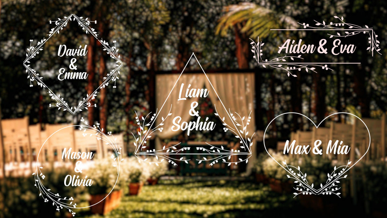 优雅动画的浪漫标题素材库精选AE模板