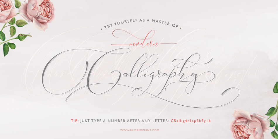 Sophia Font Family插图2