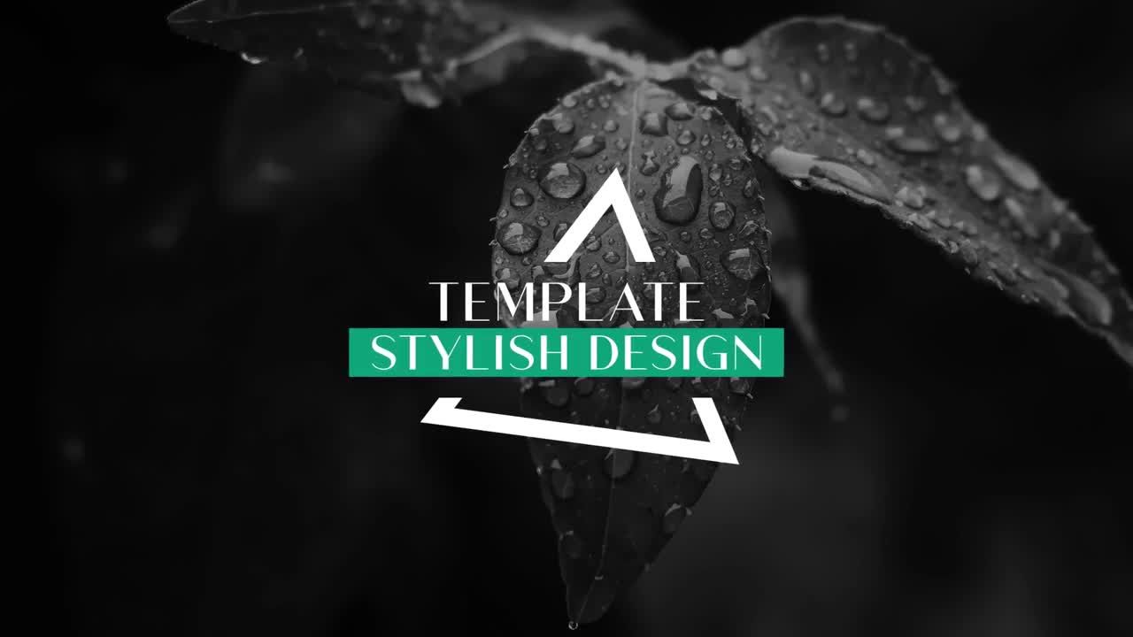 12个雅致标题动画素材库精选AE模板