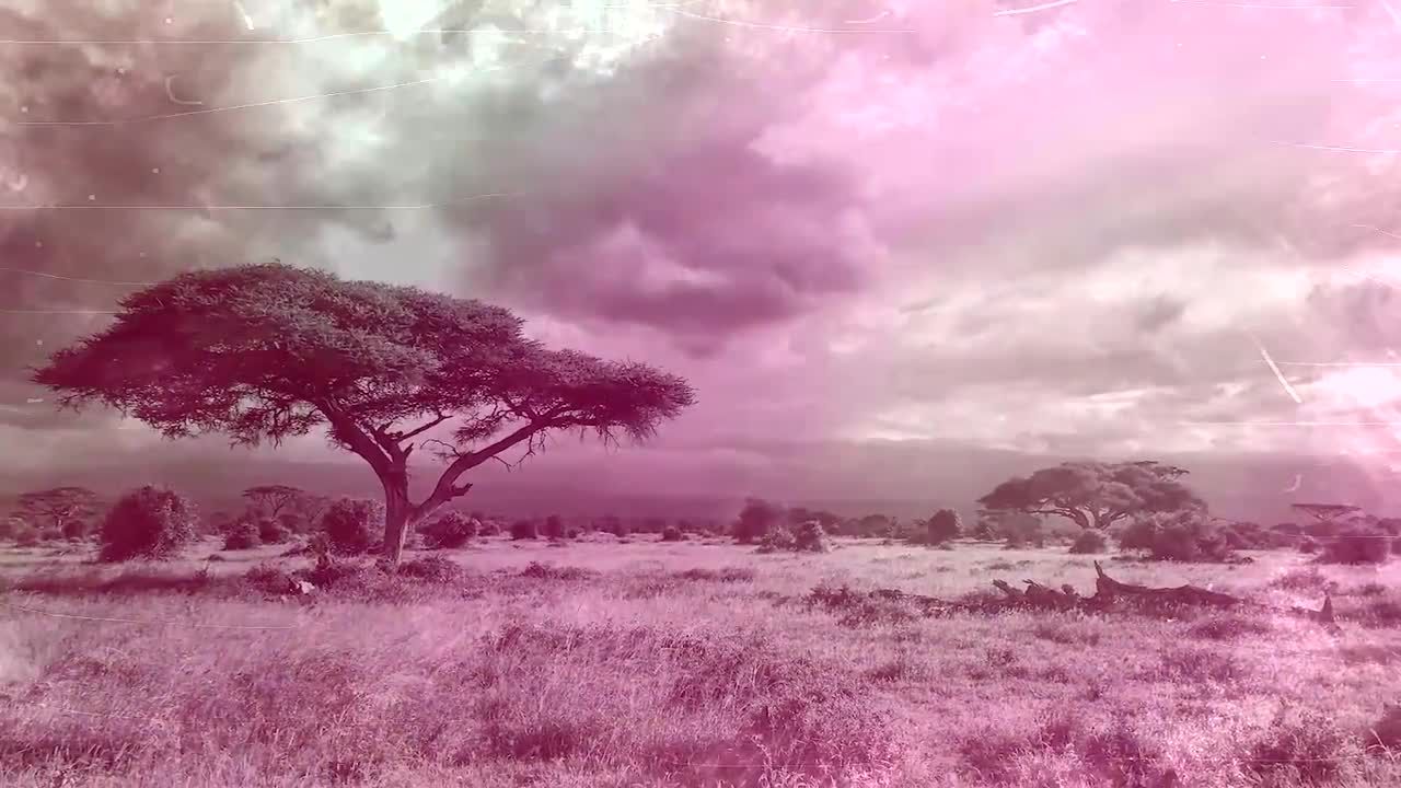 设计华丽的影视级电影开场动画PR片头模板