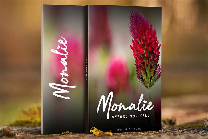 Nocturnal font插图5 Nocturnal font插图5