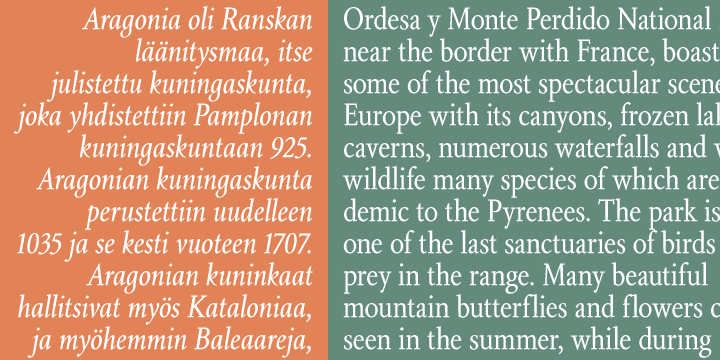 Aragon Condensed Font Family插图