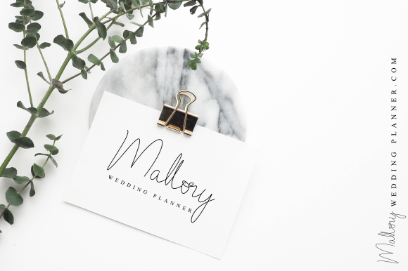 Steffano Font插图3