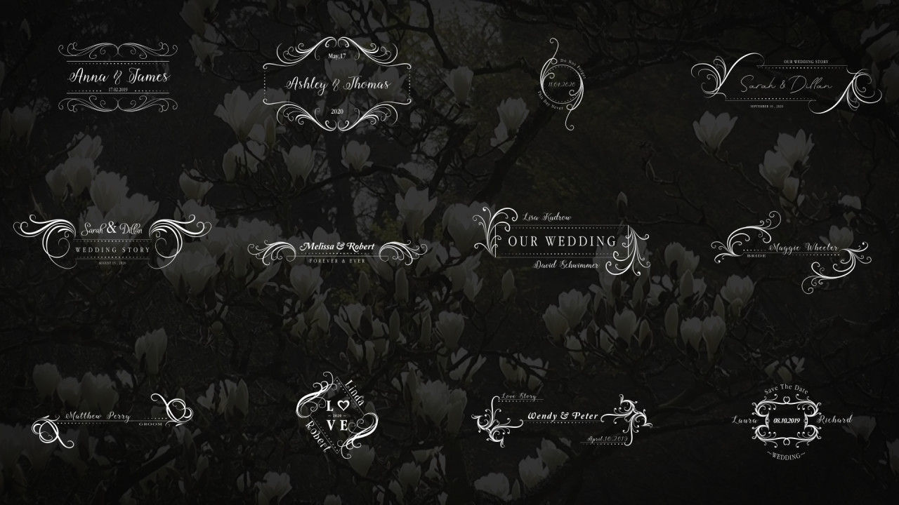 婚礼标题包4K标题动画素材库精选AE模板