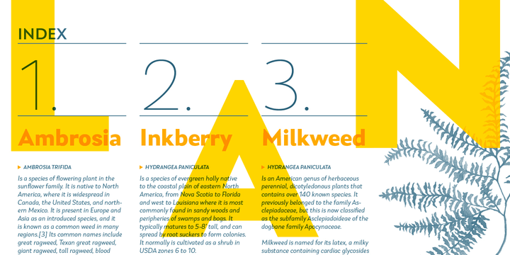 Laca Text Font Family插图2