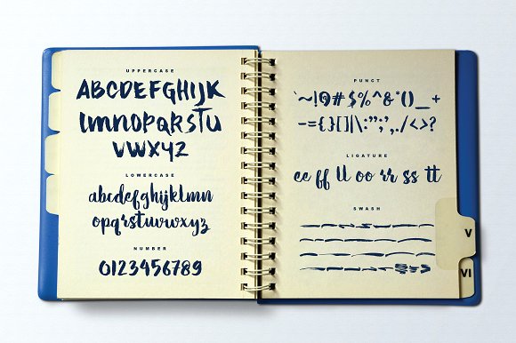 Hello Tropical插图5