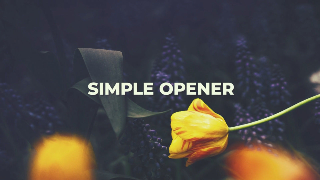 简单的旅行照片转场过渡效果素材库精选AE模板