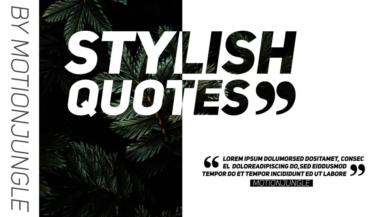 时尚的行业介绍多帧展示素材库精选AE模板