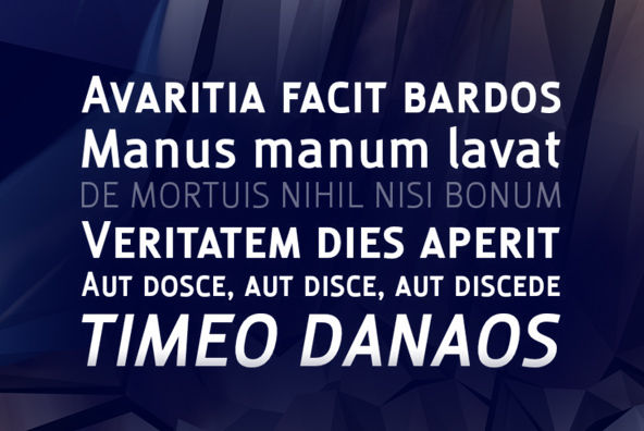 Globale Font Family插图2