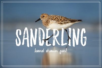 Sanderling Textured Font素材之家精选英文字体