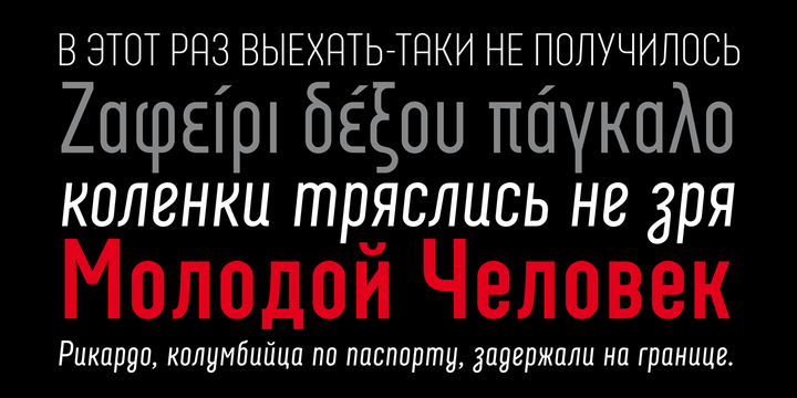 Neubau Pro Font Family插图4