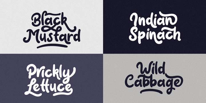 Claytonia Font插图1