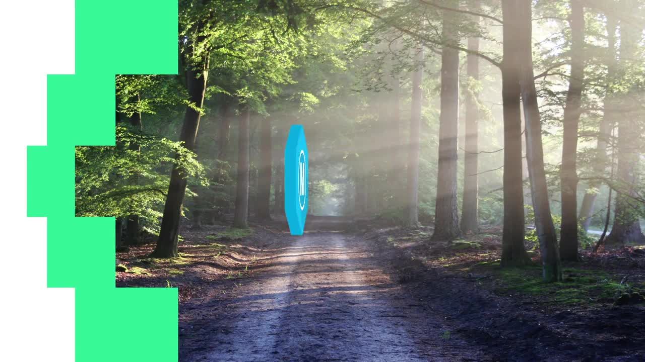 富有创意的徽标转型标志动画素材库精选AE模板