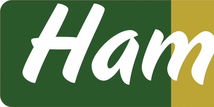 Juicy & Food Soft Font by Hubert Jocham Font插图1