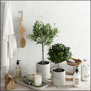 盆栽植物浴室套装2 素材之家精选3D模型