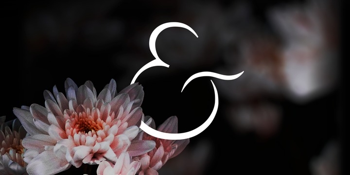 Velour Font Family – 6 Fonts插图5