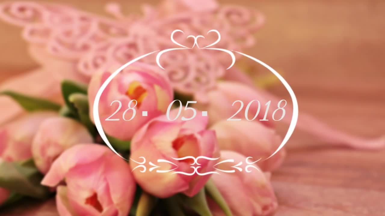 柔和光效果优雅婚礼标题动画PR模板