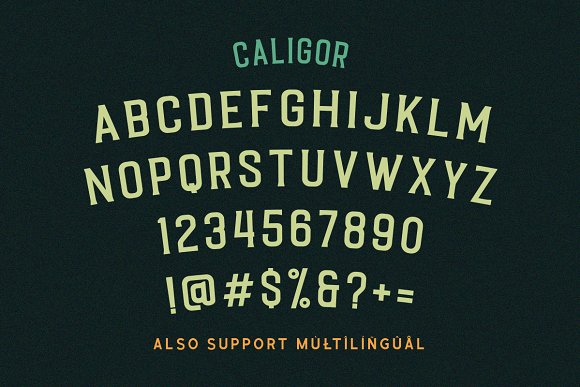 CALIGOR – Display Typeface Font插图3