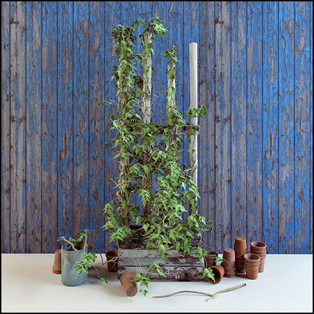 花园中的装饰品爬山虎植物装饰素材之家精选3D模型