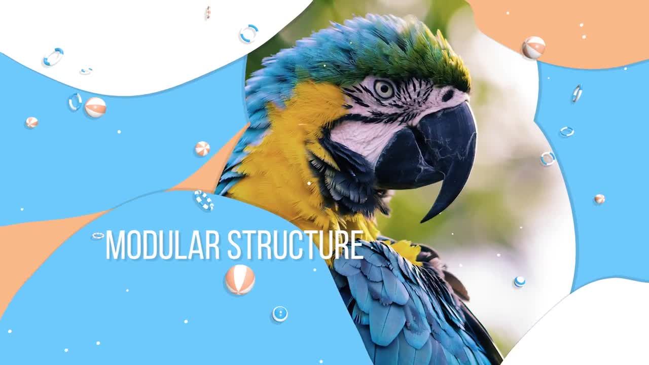 色彩缤纷的广告时尚照片展示素材库精选PR模板