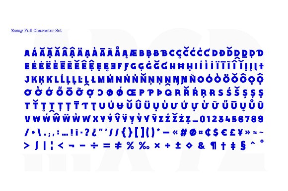 Essay Font Family插图2
